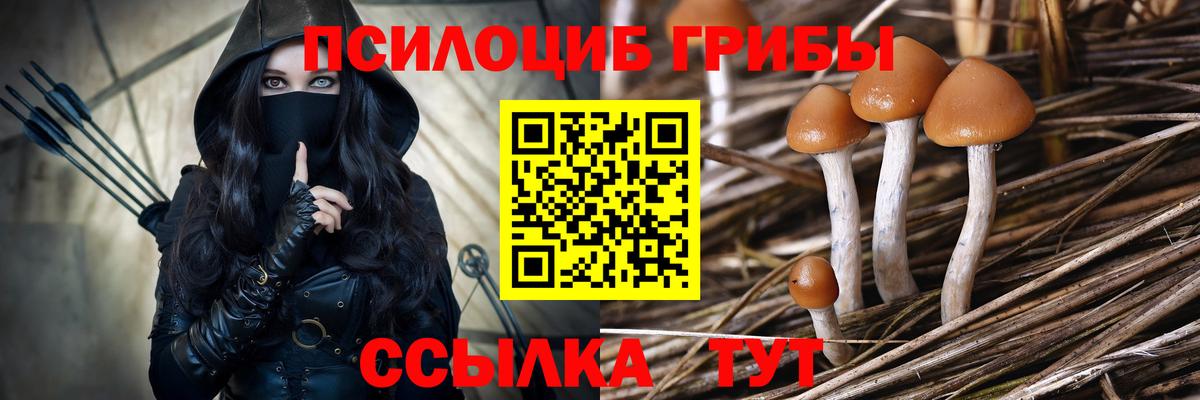 Галлюциногенные грибы Cubensis Зерноград